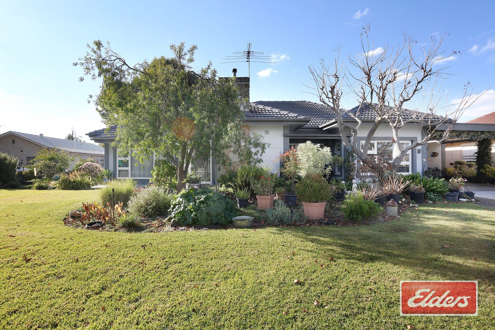 2 Phillip Street, Tanunda SA 5352, Image 0