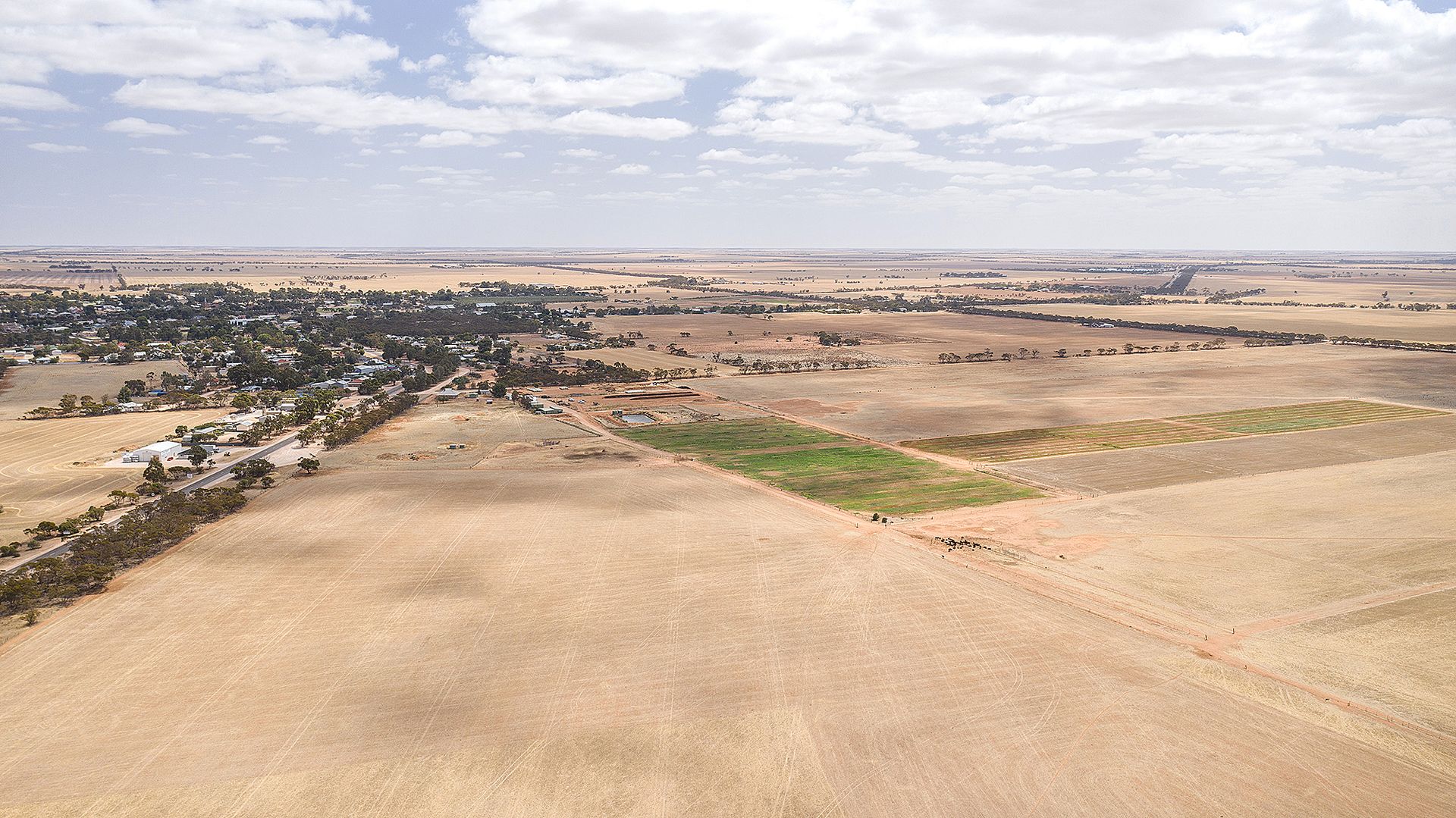 33 Lovers Lane, Pinnaroo SA 5304, Image 1