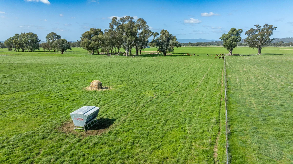 Additional image 26 of 61 Forest Lane, Markwood VIC 3678