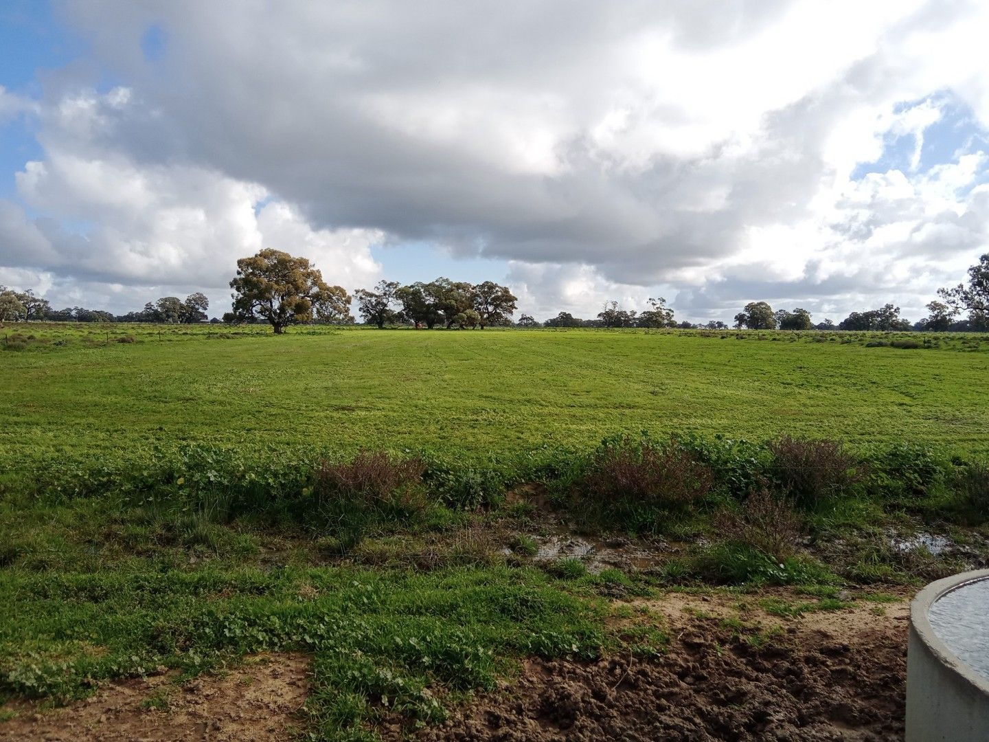 Lot 2 Moulamein Road, Barham NSW 2732, Image 0