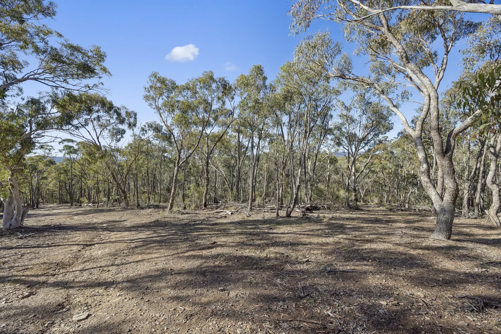 Image 13