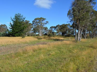 Lot 3/3386 Nugent Road, Buckland TAS 7190, Image 1