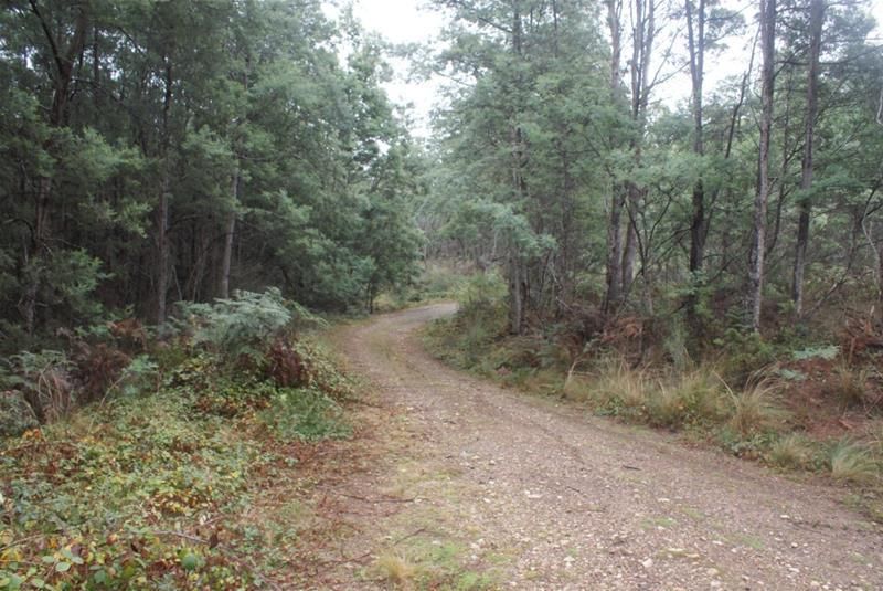 Property Report for 239 Wadleys Road, Reedy Marsh TAS 7304