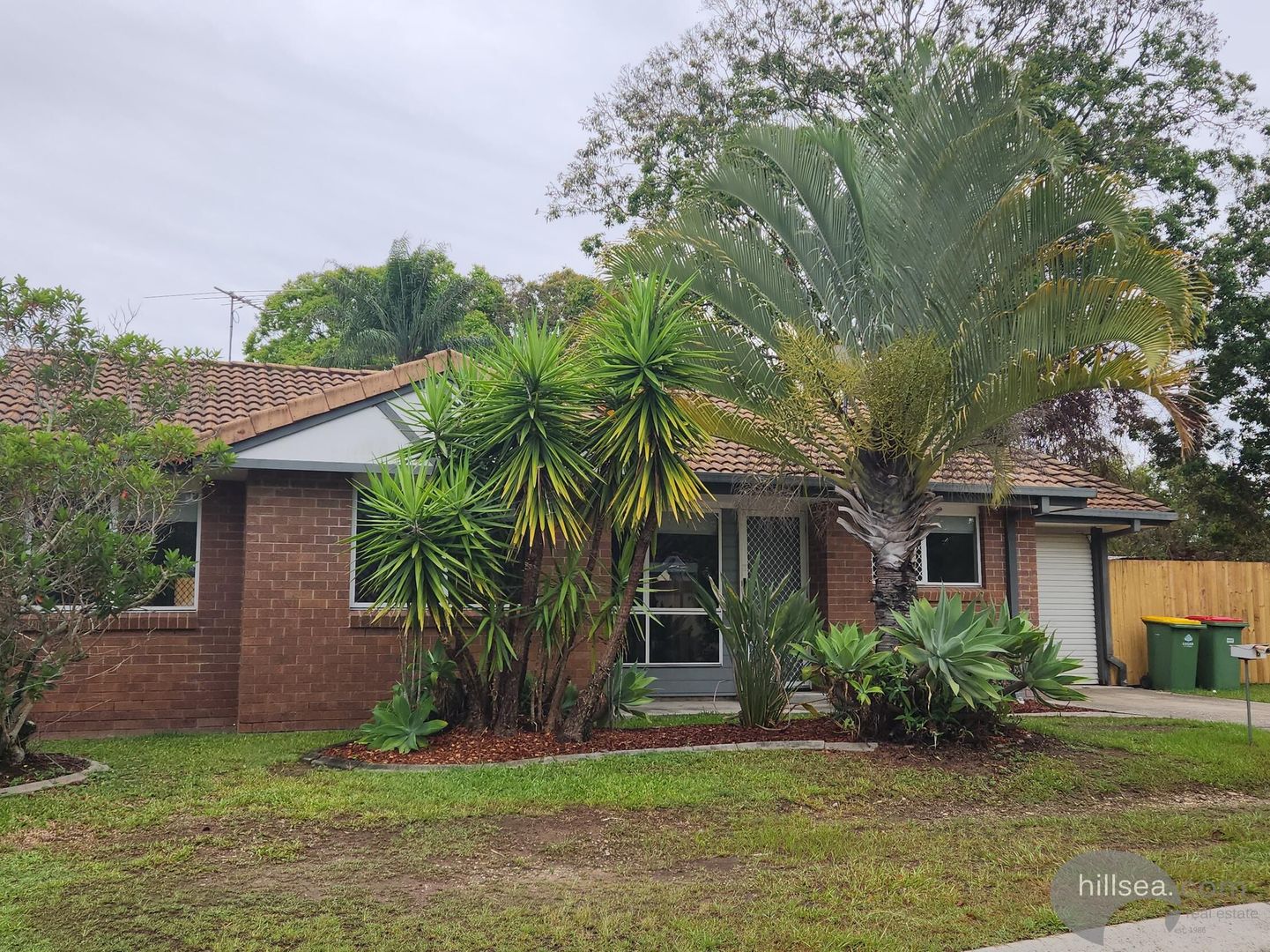 6 Pearce Court Eagleby QLD 4207 House For Rent Domain