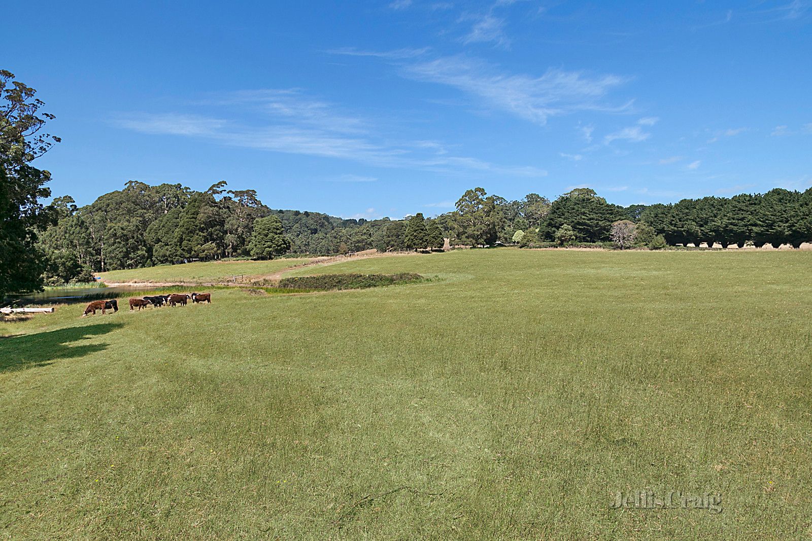 Lot 1/LP217952 Blackwood Road, Newbury VIC 3458, Image 1