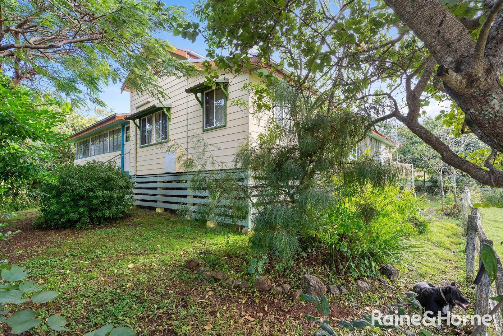 93 Ellems Road, Edenville via, Kyogle NSW 2474, Image 0