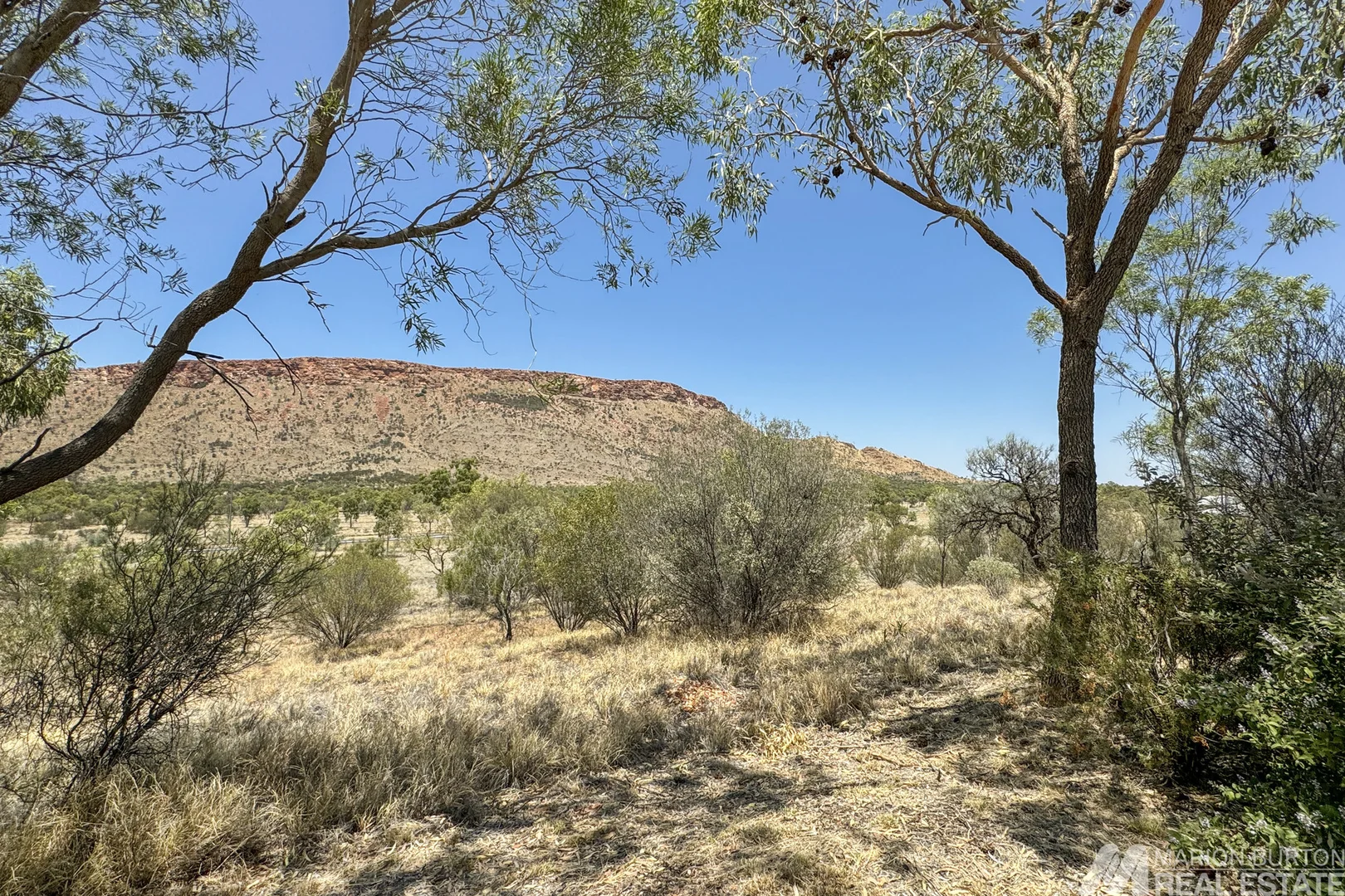 Image 35