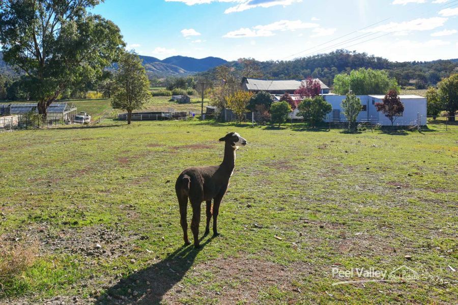 Craiglea Lot 4 Back Kootingal Road Tamworth Nsw 2340