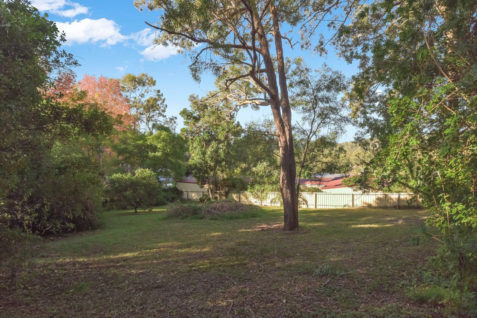 13 Lavender Cres, Spencer NSW 2775, Image 0