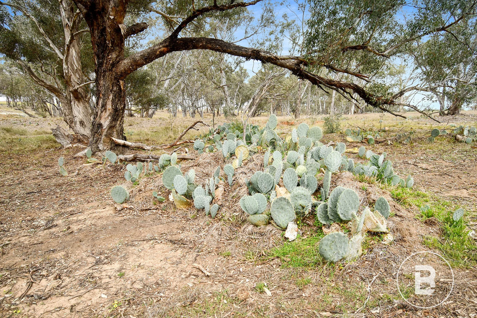 Image 10