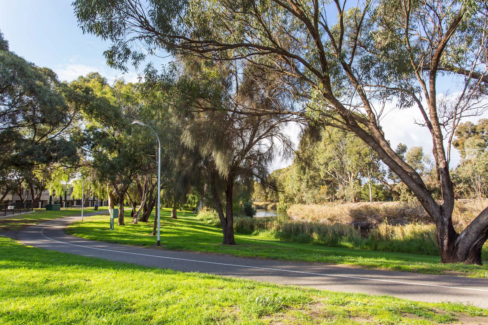 17 Cairns Avenue, Lockleys SA 5032, Image 1