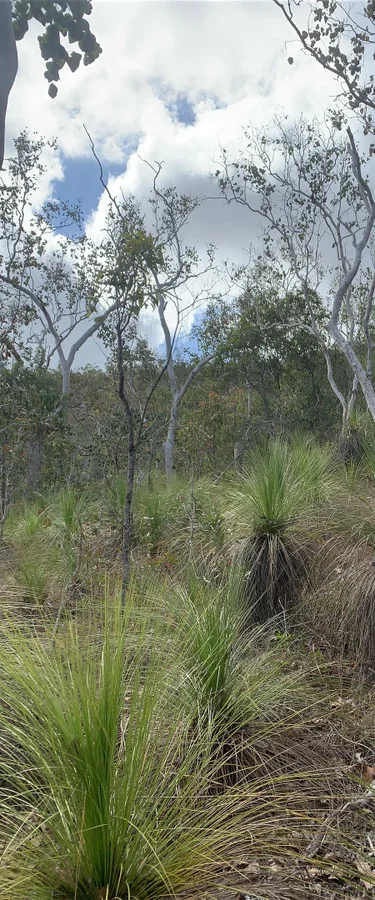Image 9