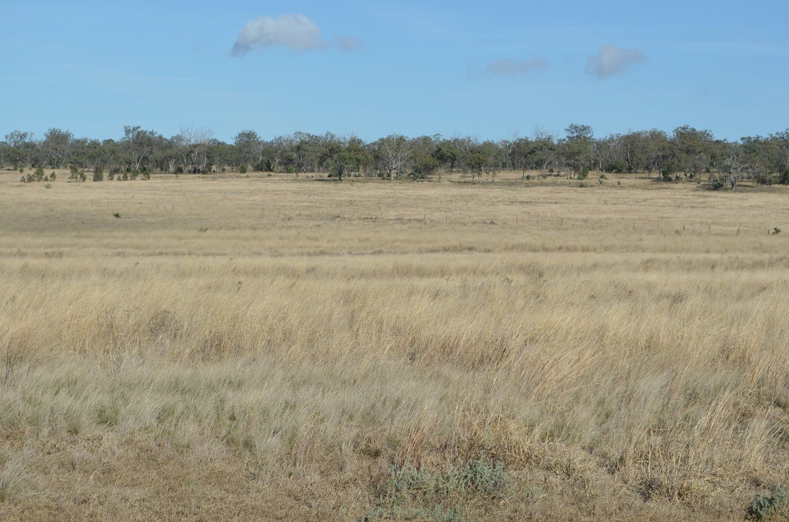 Jondaryan QLD 4403, Image 1