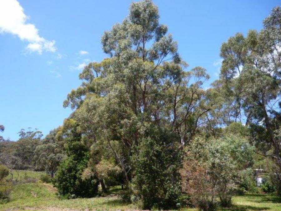 5769 Arthur Highway, Taranna TAS 7180, Image 0