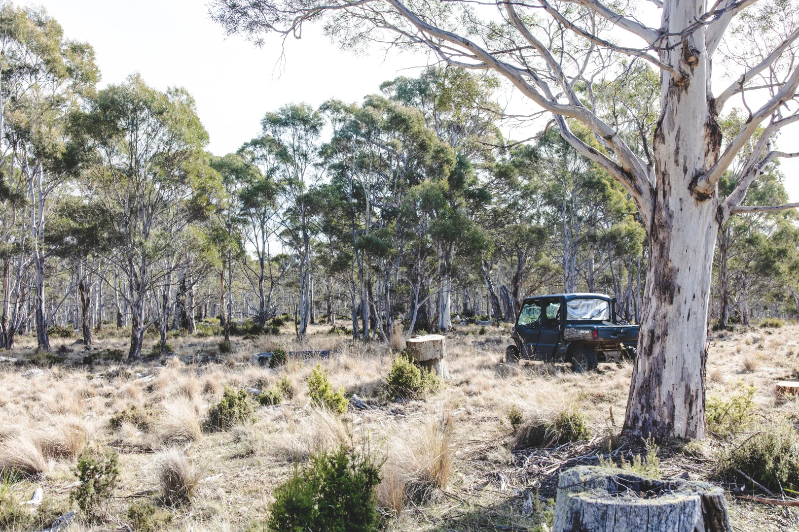 Additional image 11 of 2413 Nugent Road, Buckland TAS 7190