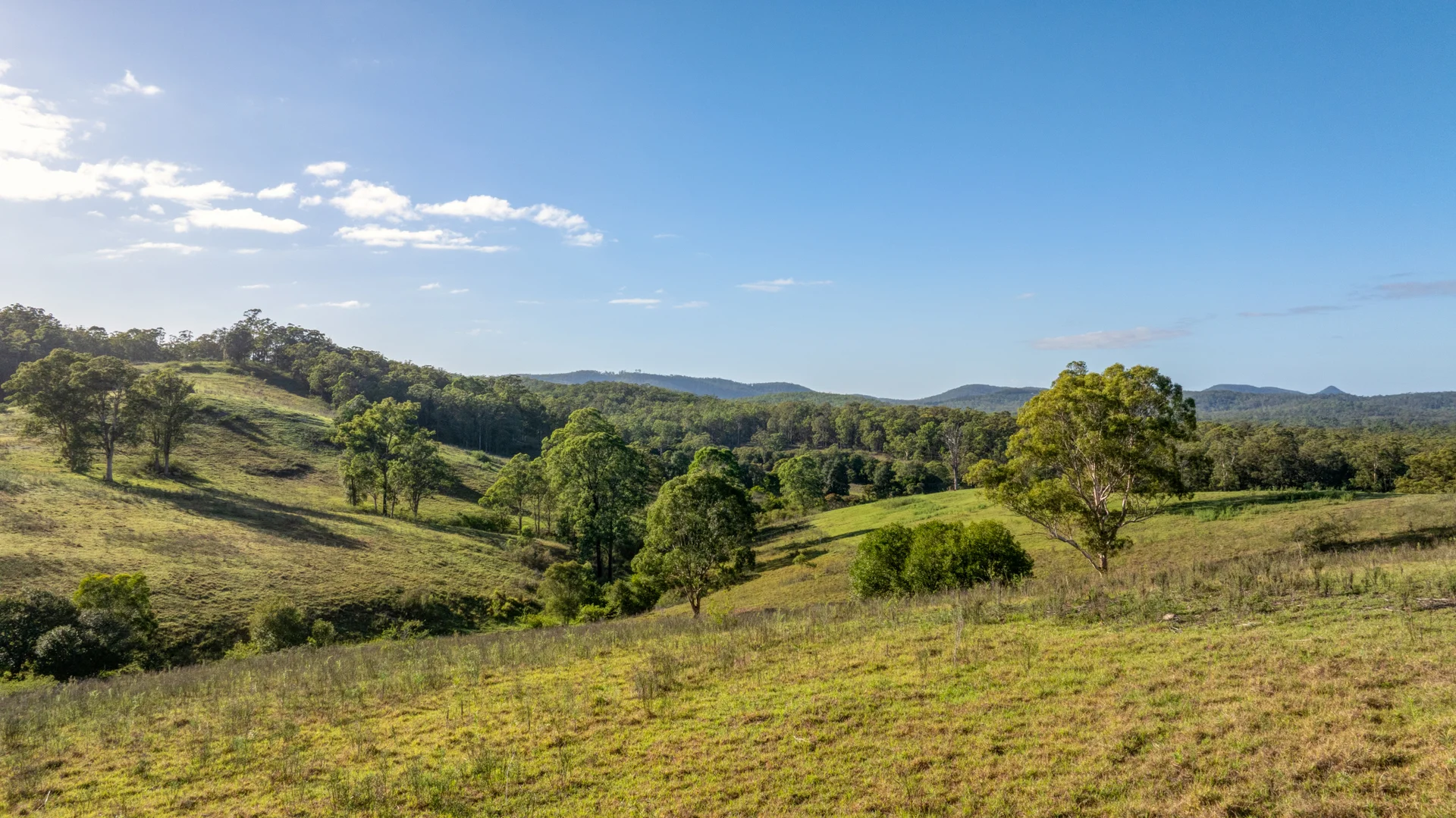 Additional image 6 of 2898 The Bucketts Way, Stroud NSW 2425