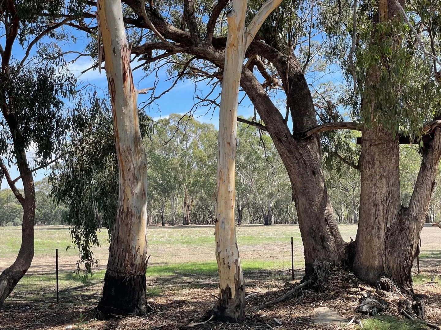 Additional image 8 of 17 McKee Road, Echuca Village VIC 3564