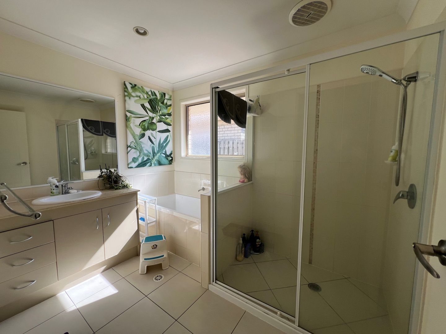 55 Aramac Street, Brassall QLD 4305 House For Rent Domain