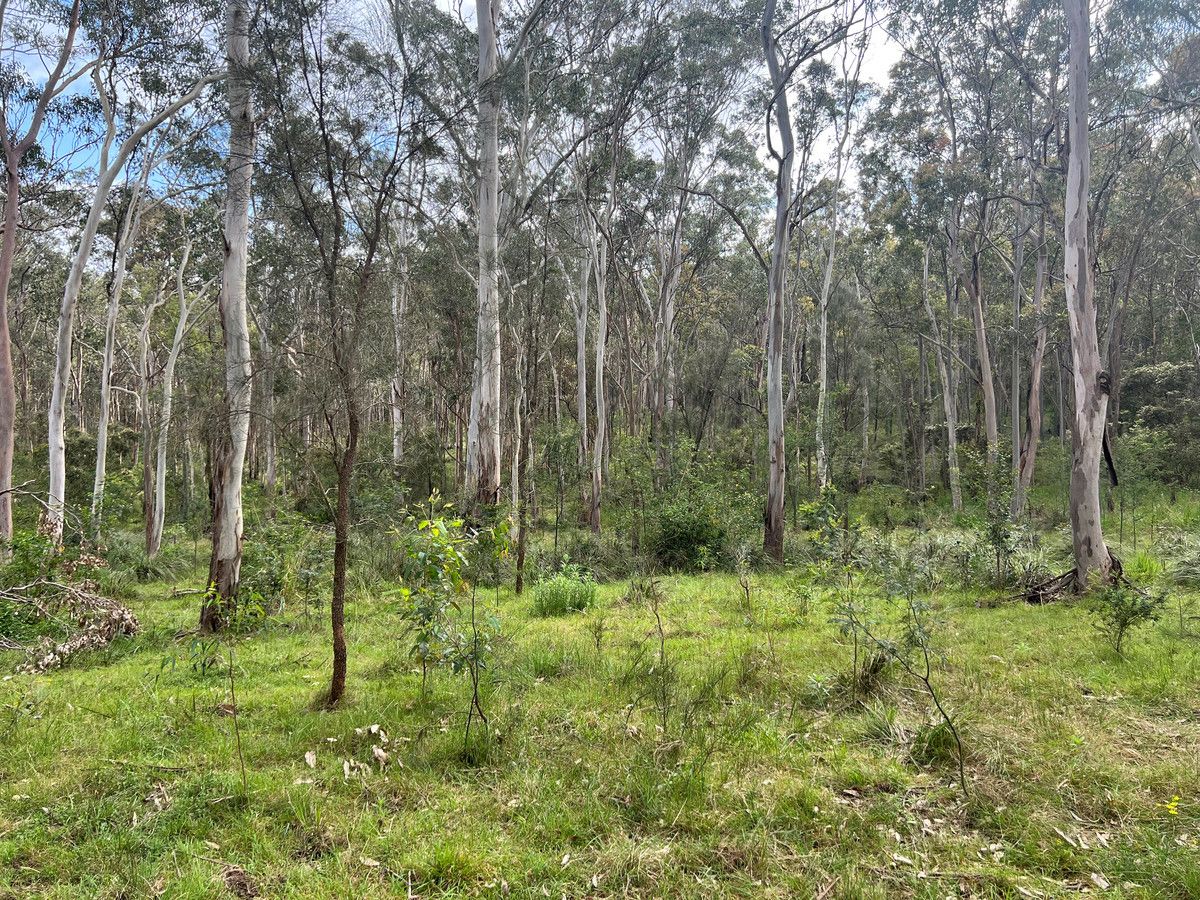 79 Littlewood Road, North Rothbury NSW 2335, Image 0