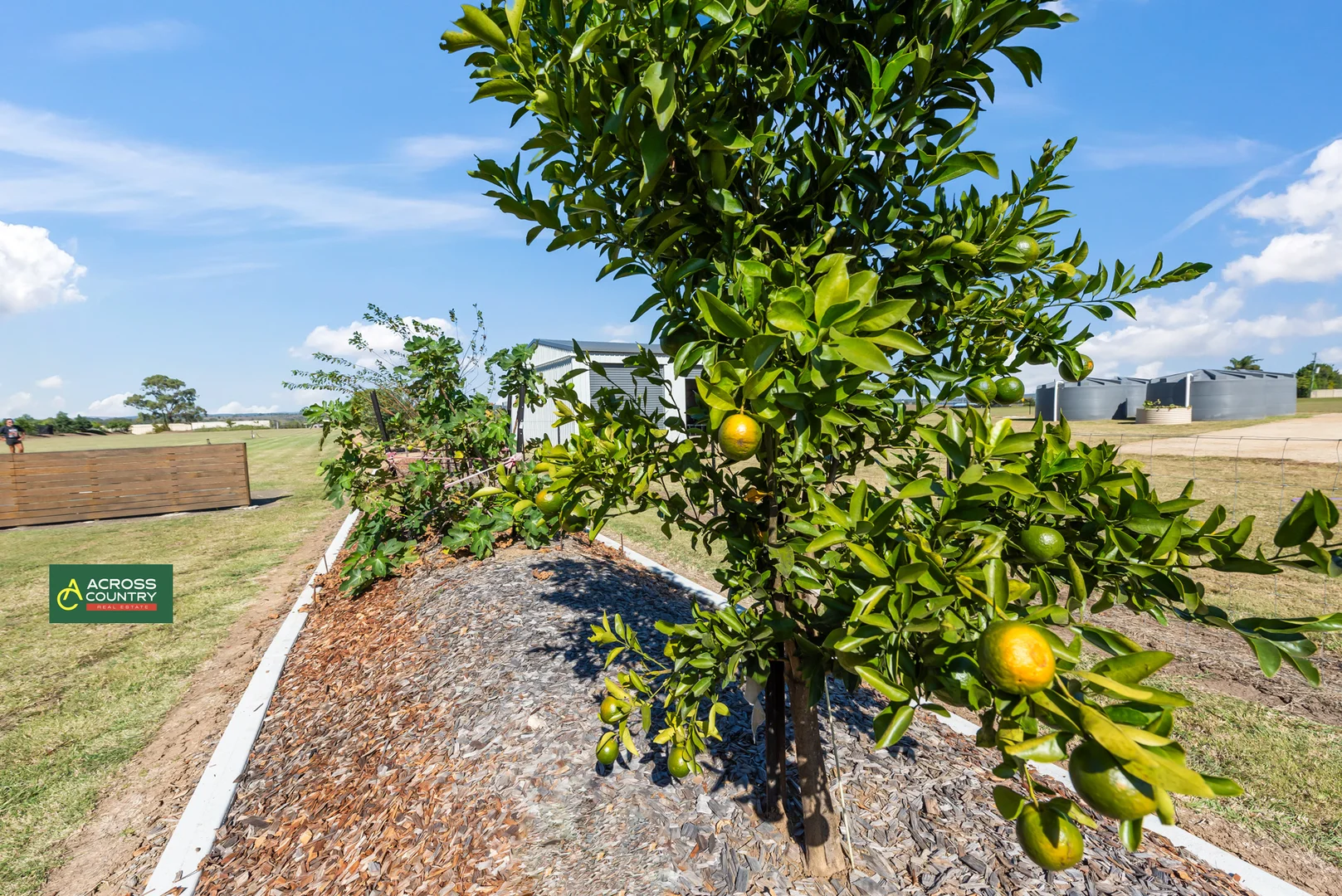Additional image 32 of 18 Steinhardts Road, Moffatdale QLD 4605