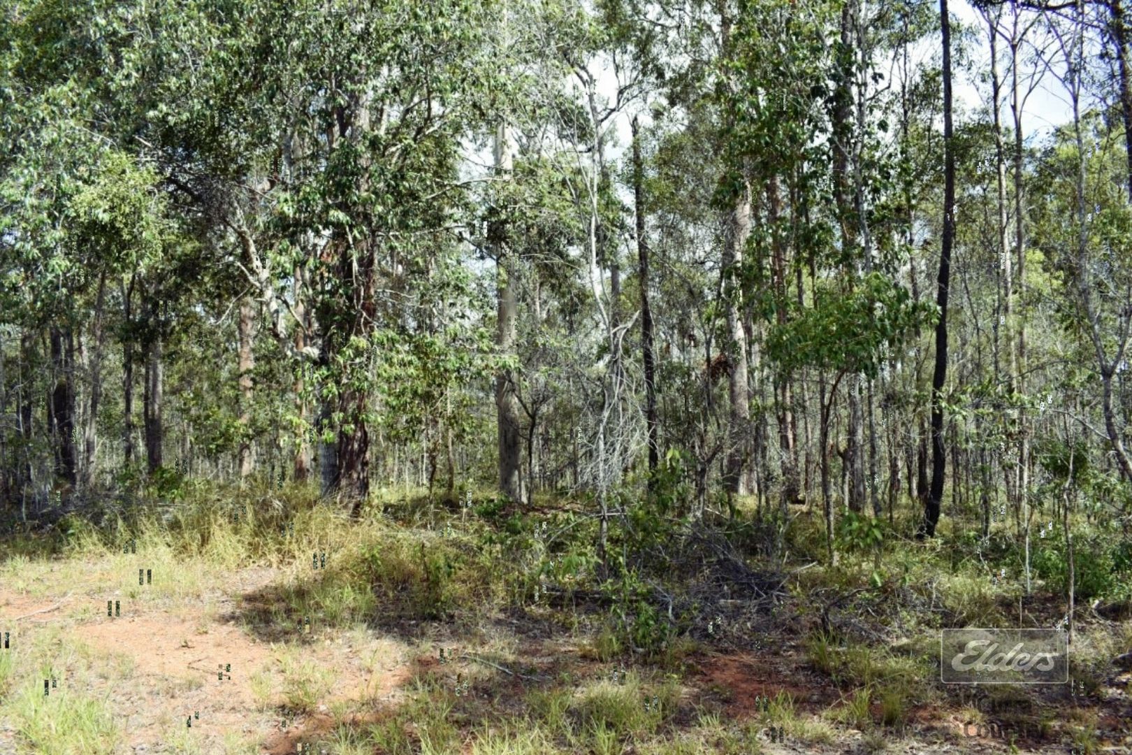 Lot 279 Van Hensbroek Road, Bauple QLD 4650, Image 2