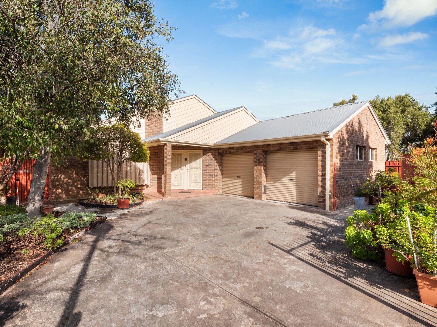 16 Griffin Place, Wynn Vale SA 5127, Image 0