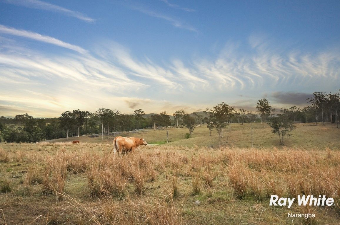 16 Grace Mac Court, Narangba QLD 4504, Image 2