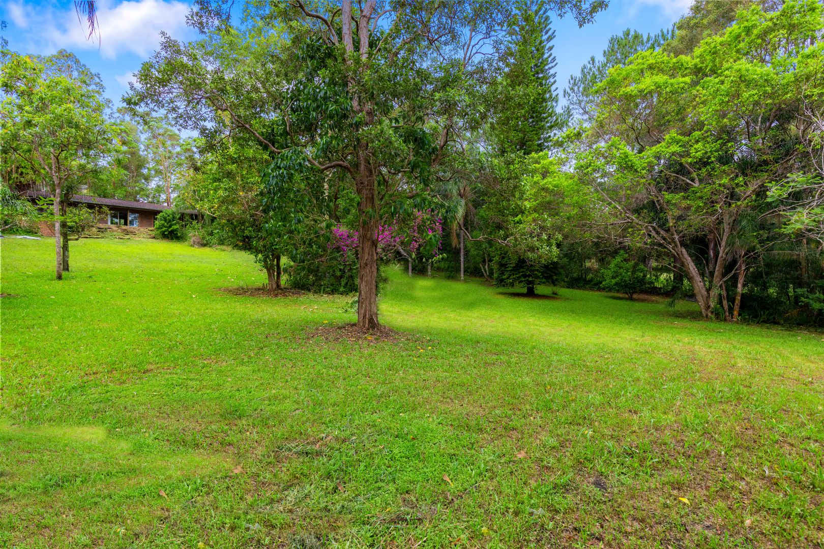 177 Neill Road, Mooloolah Valley QLD 4553, Image 1