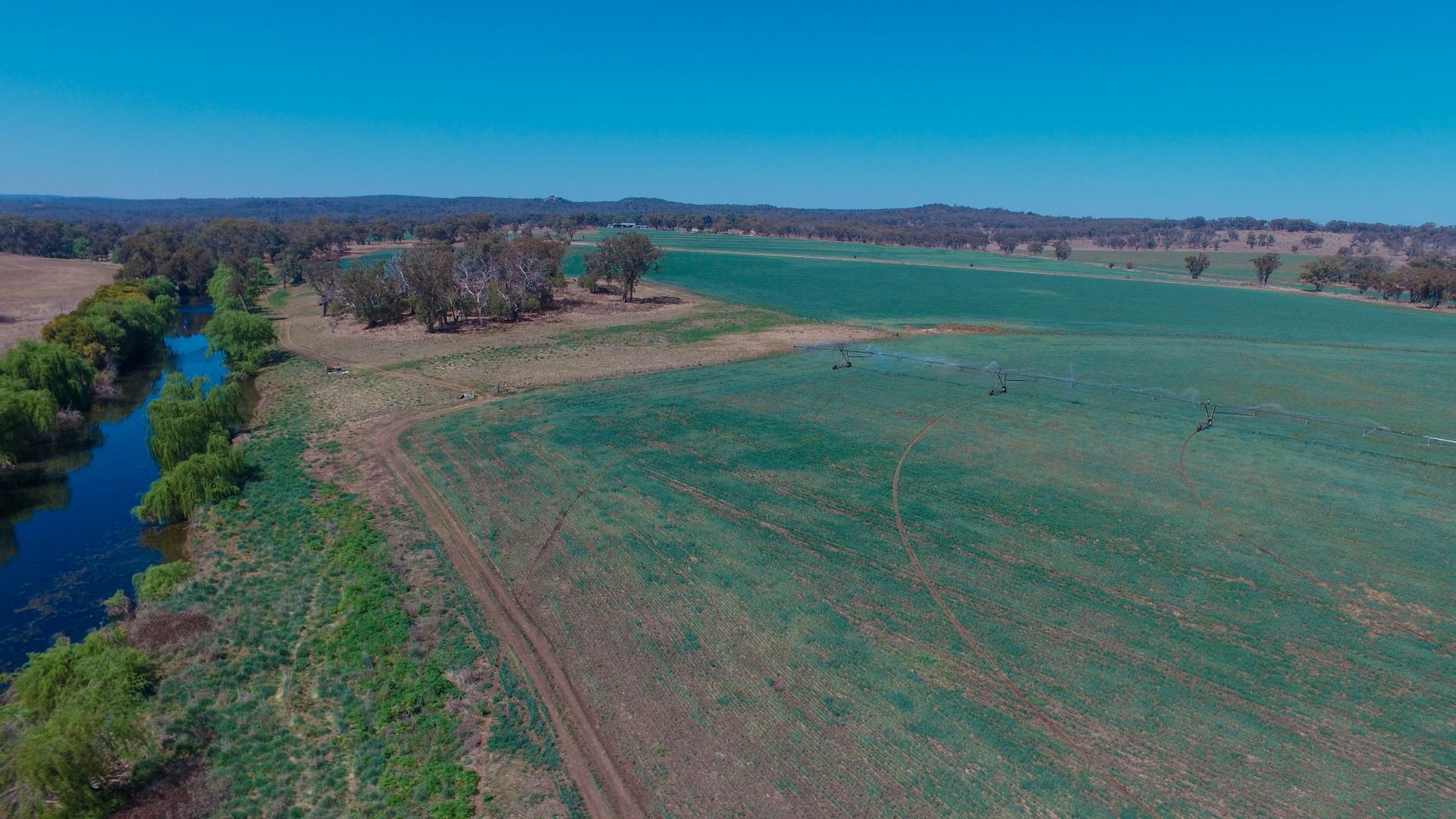 213 McLachlans Lane, Brodies Plains, Inverell NSW 2360, Image 2