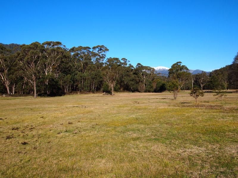 Lot 47D Great Alpine Road, FREEBURGH VIC 3741, Image 1