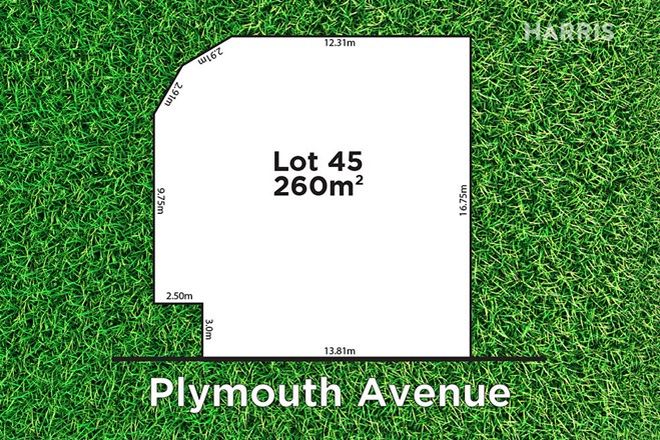 Picture of 10 Plymouth Avenue, STURT SA 5047