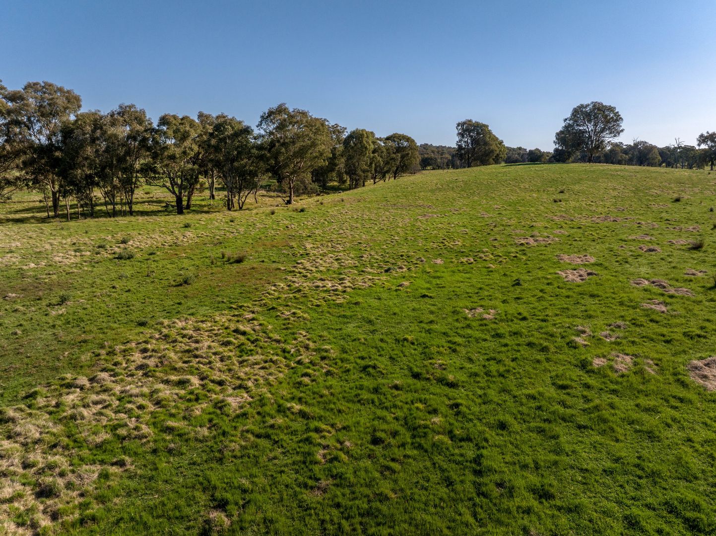 156 Comatawa Road, Tarcutta NSW 2652, Image 1