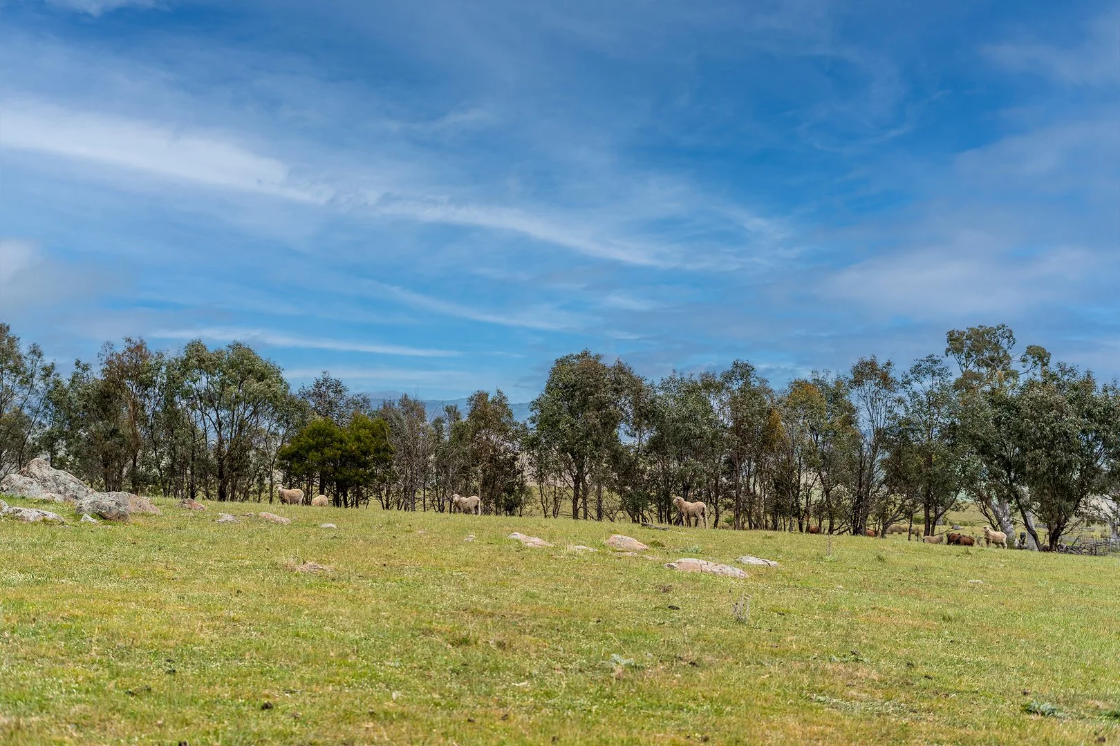 Additional image 13 of 143 Rochford Road, Wallaroo NSW 2618