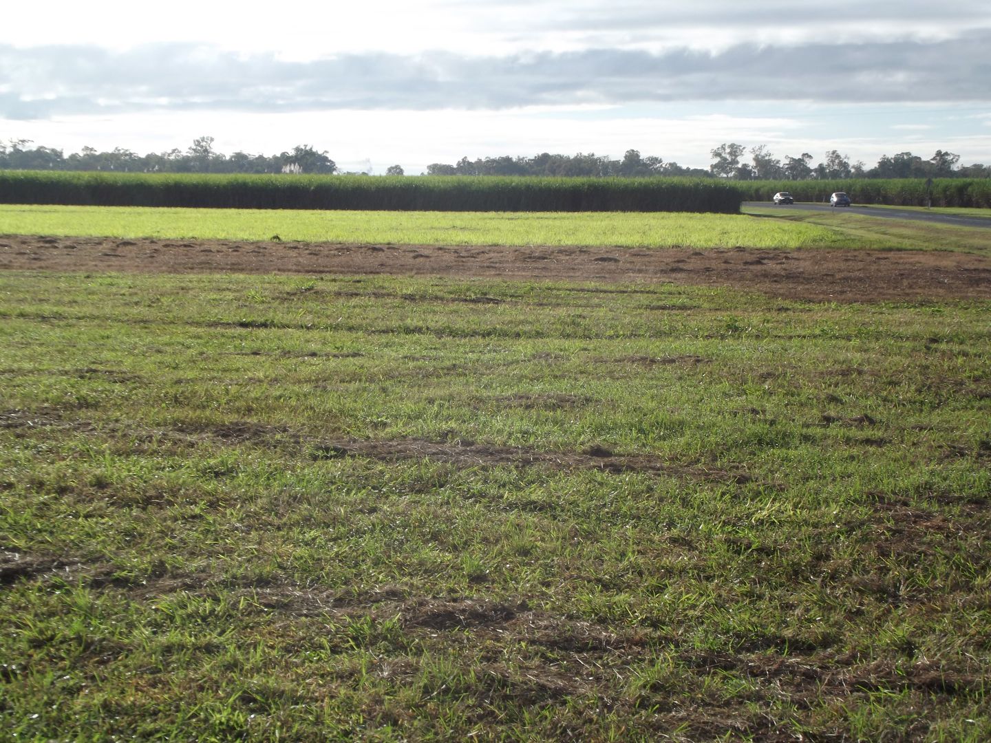 Benholme QLD 4754, Image 2