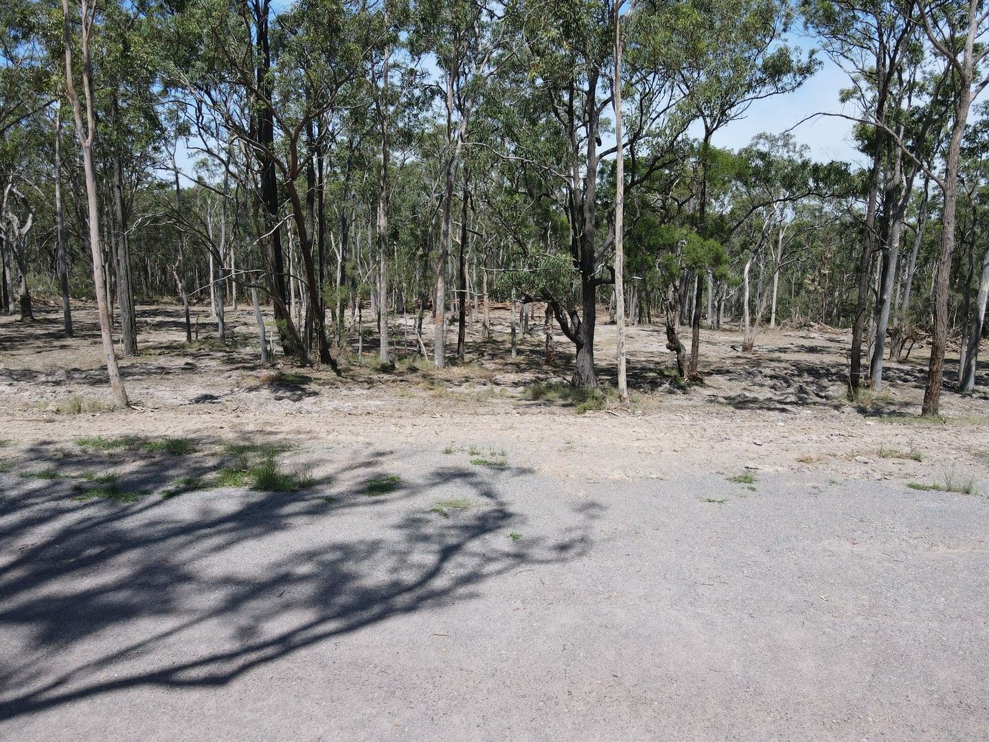 Lot 31/448 East Seaham Road, East Seaham NSW 2324, Image 0