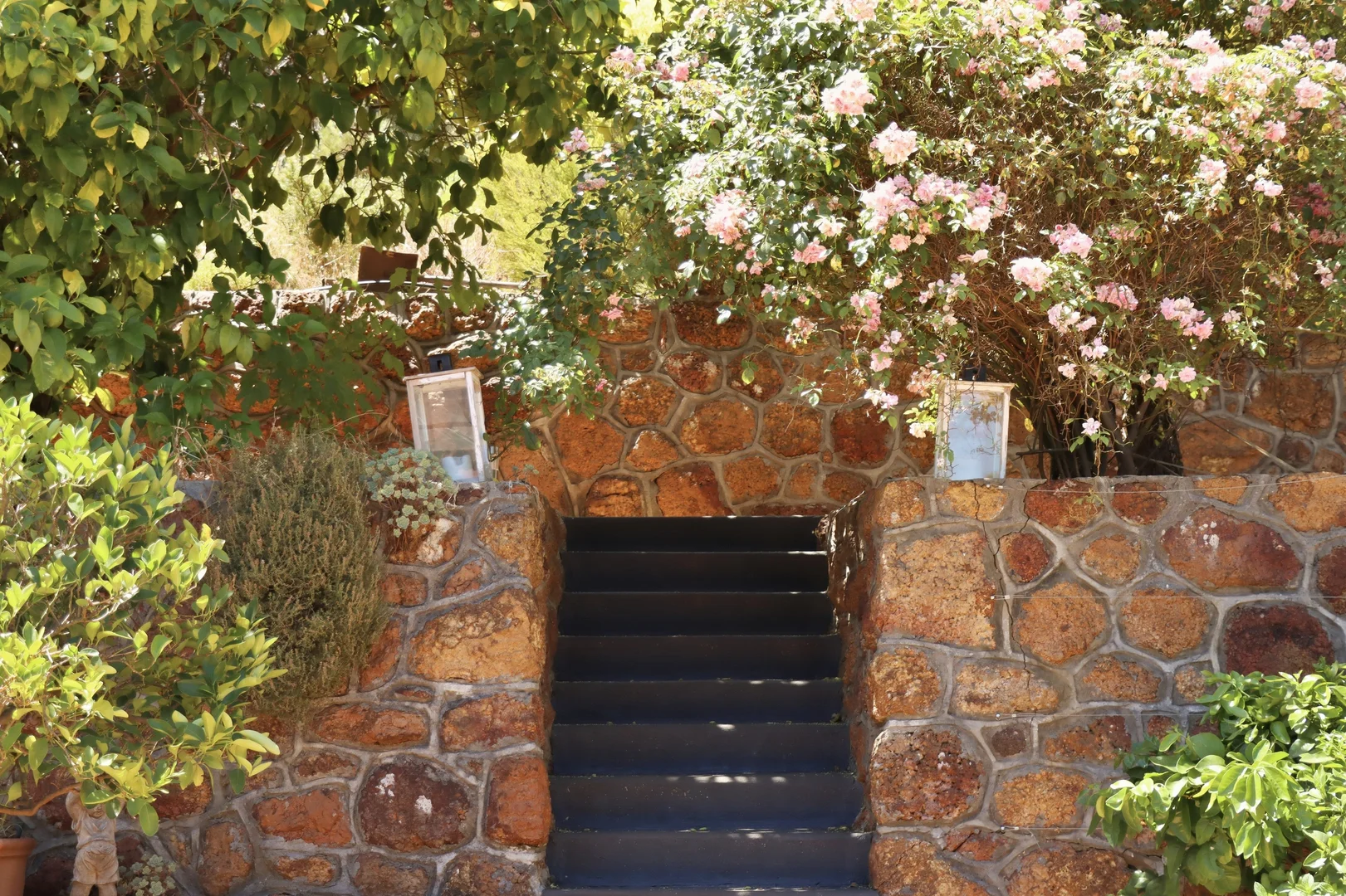 Image 14