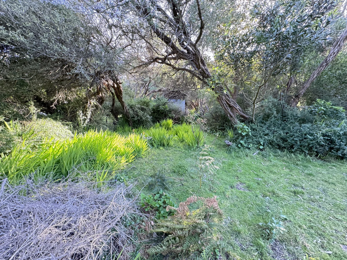 Additional image 6 of 123 Atherton Drive, Venus Bay VIC 3956