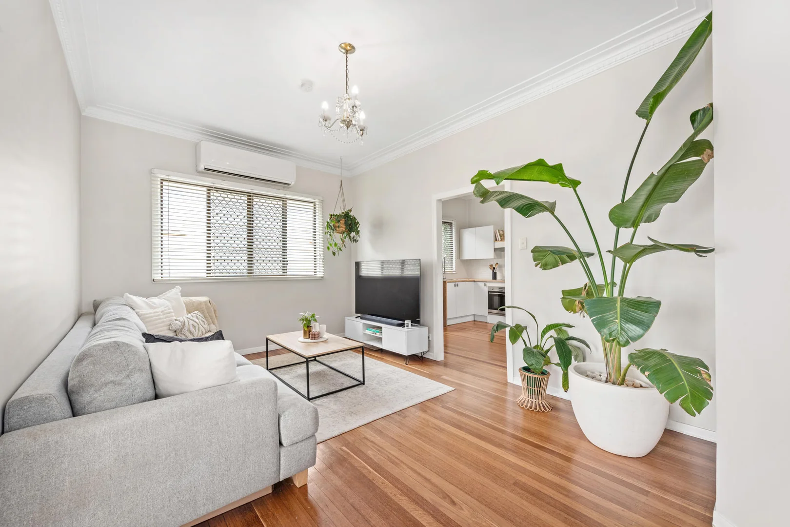 Additional image 5 of 263 Richmond Road, Morningside QLD 4170