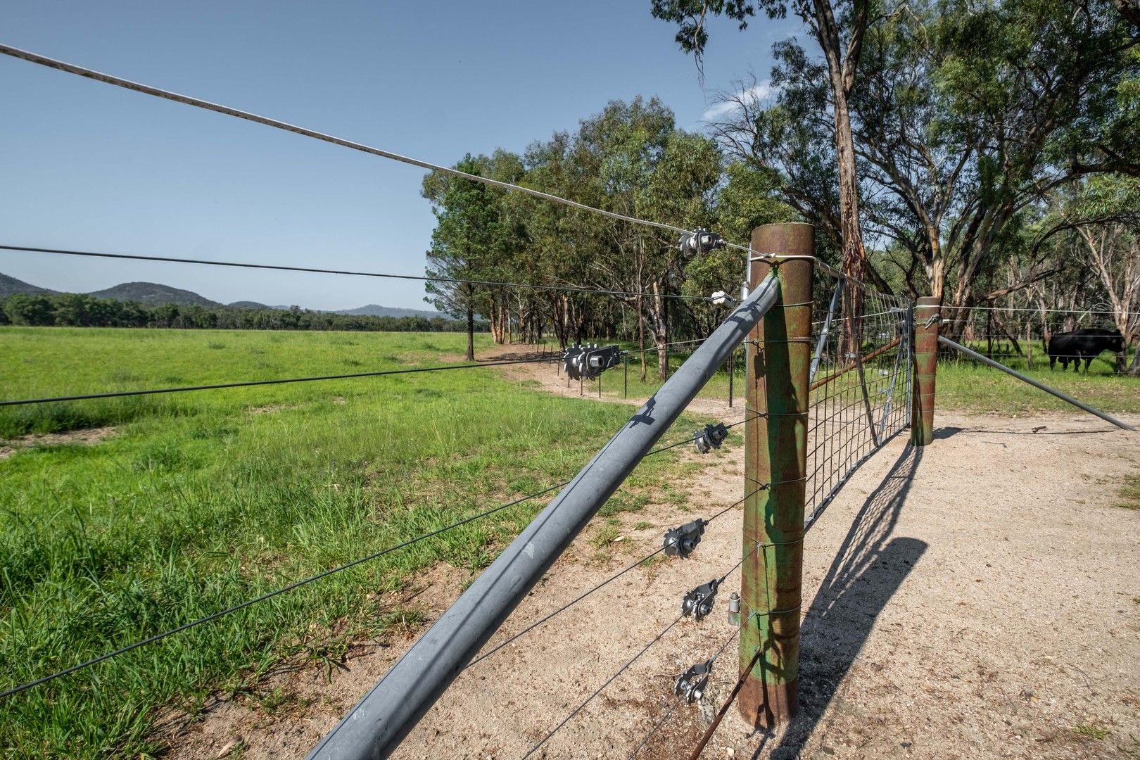 210 Langens Lane, Moore Creek NSW 2340 House for Sale Domain