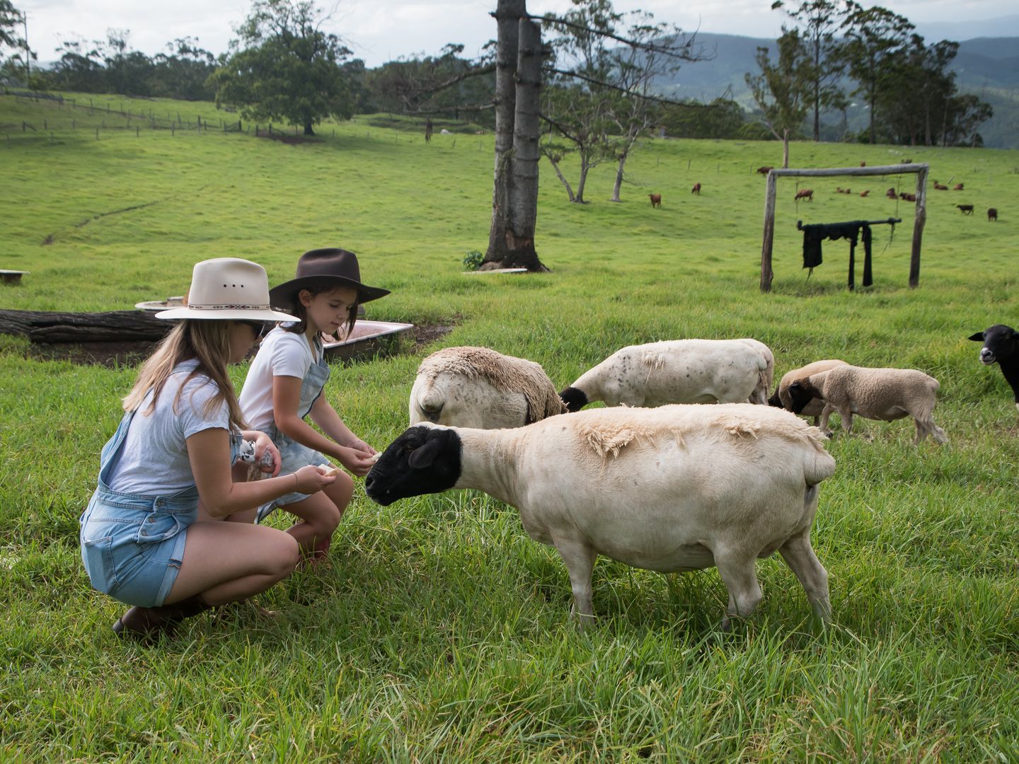 Mount Mee QLD 4521, Image 2