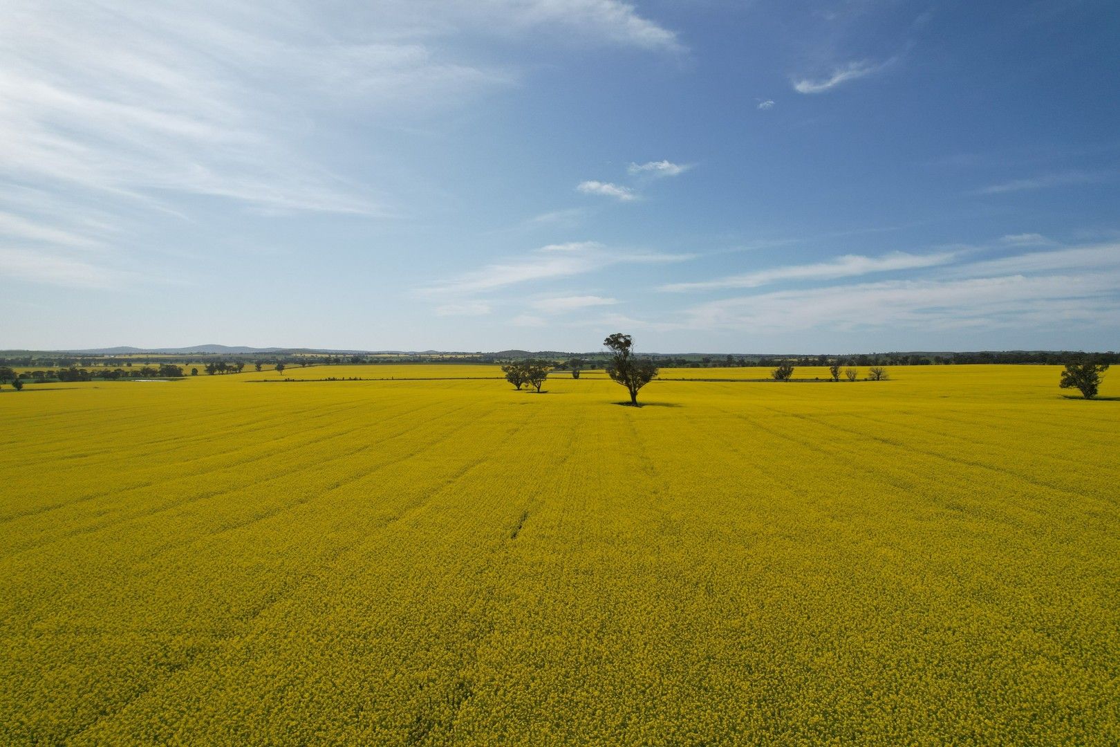Rural in Cossars Road, YEUNGROON VIC, 3525