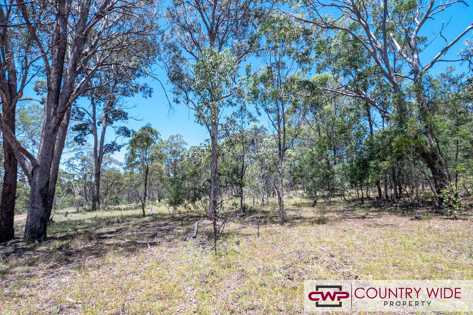 33, Lot 33 Torrington Road, Stannum NSW 2371, Image 2