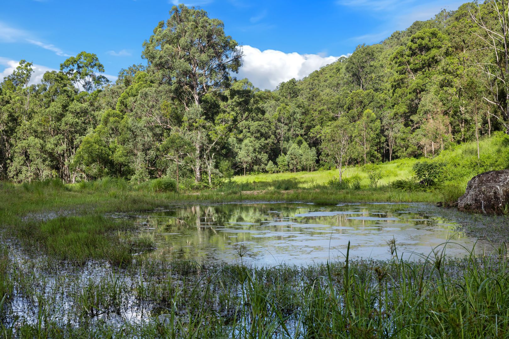 Lot 6269 Duck Creek Road, Old Bonalbo NSW 2469 House for Sale
