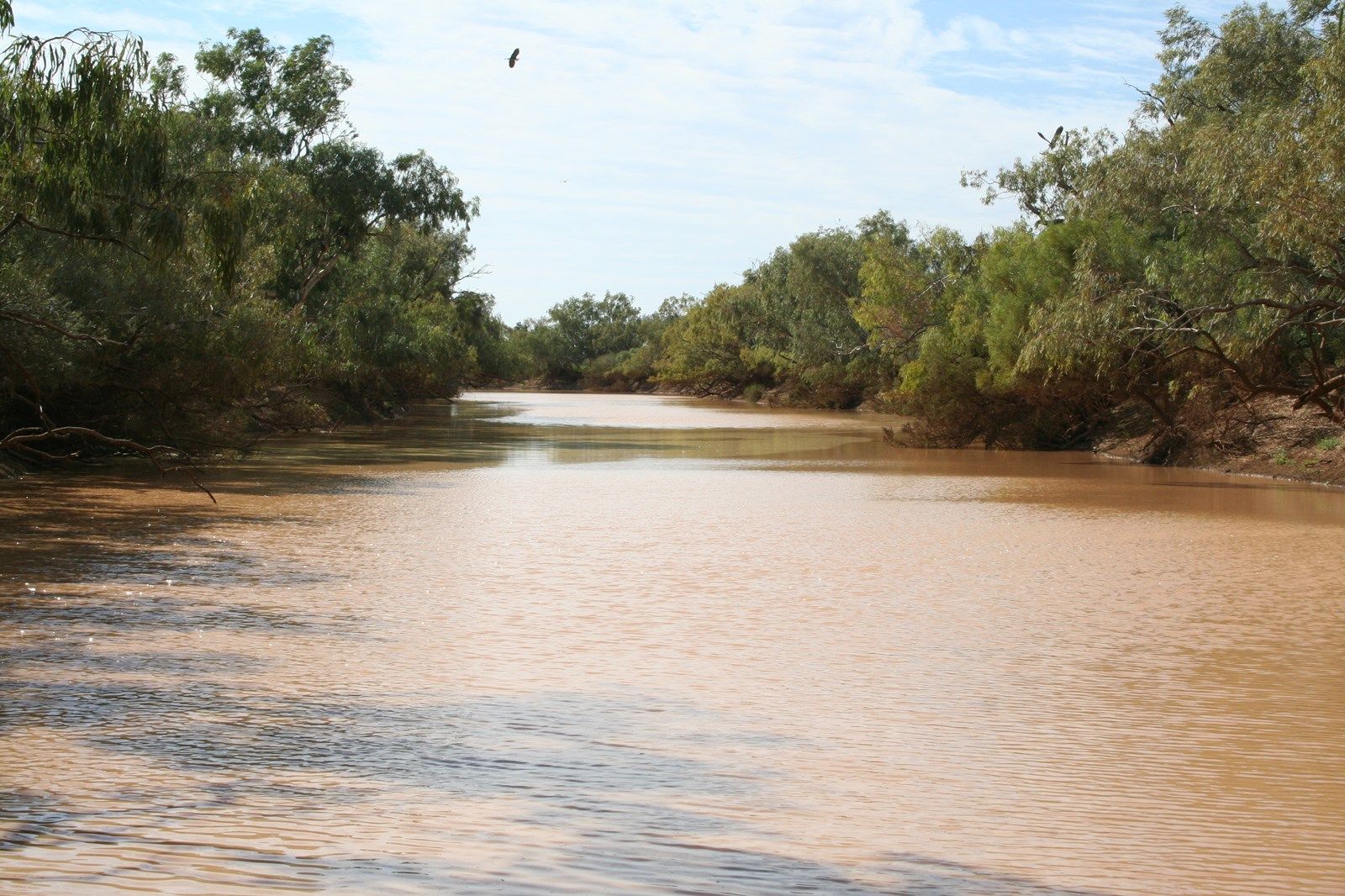 . Westward Ho, Boulia QLD 4829, Image 2