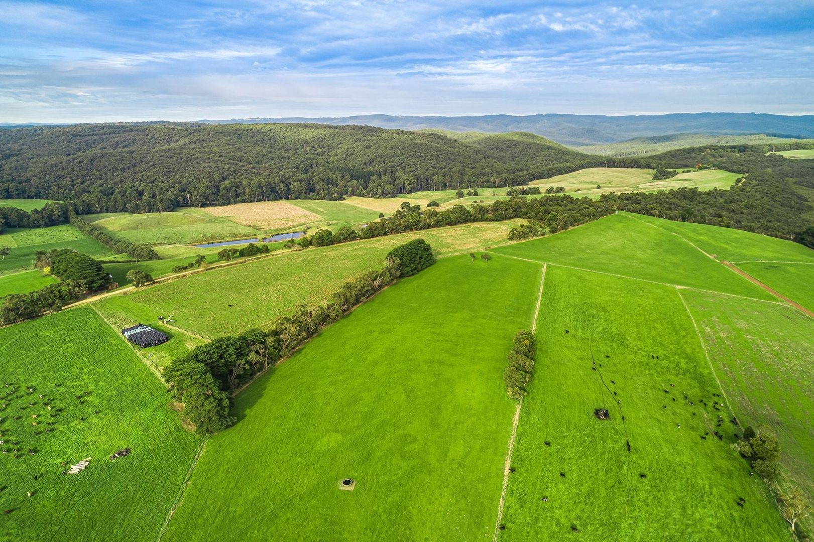 Lots 1 & 2, 195 Moomowroong Road, Carlisle River VIC 3239, Image 1