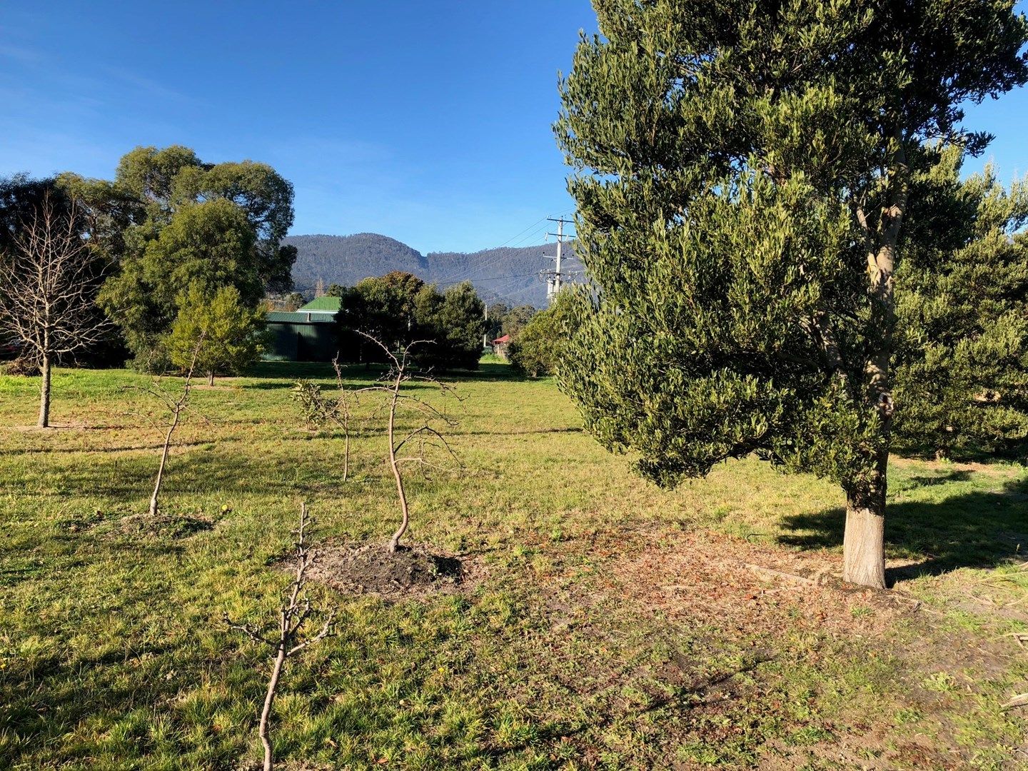 Lot 1 184 Glen Road, Ranelagh TAS 7109, Image 2