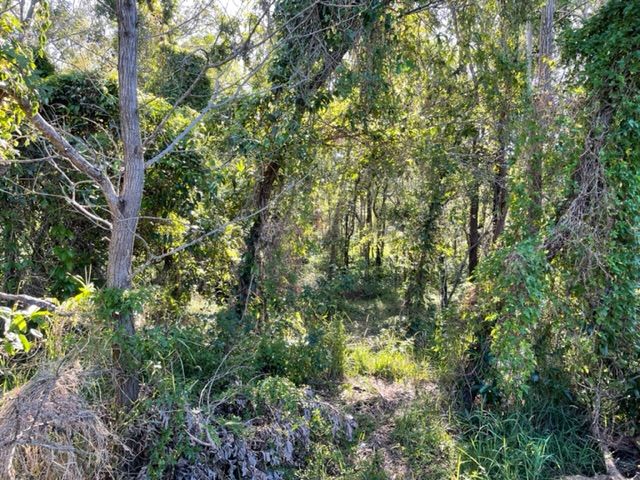 Vacant land in , PIMPAMA QLD, 4209