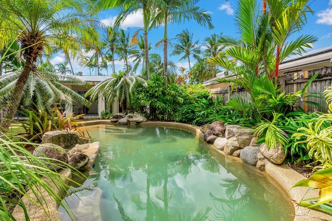 Picture of 11 Thais Street, PALM COVE QLD 4879
