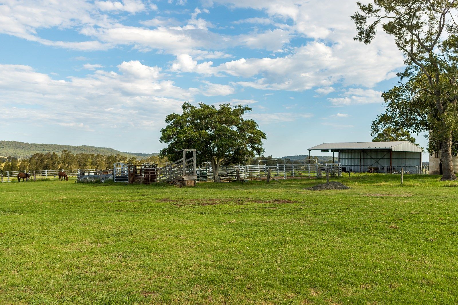 1074 Seaham Road, Seaham NSW 2324, Image 1