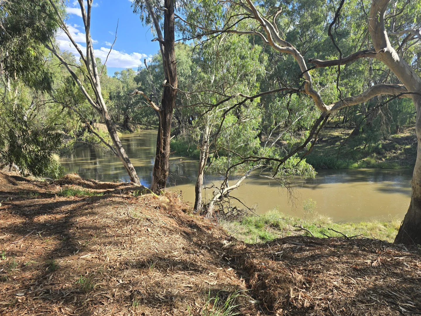 Image 21